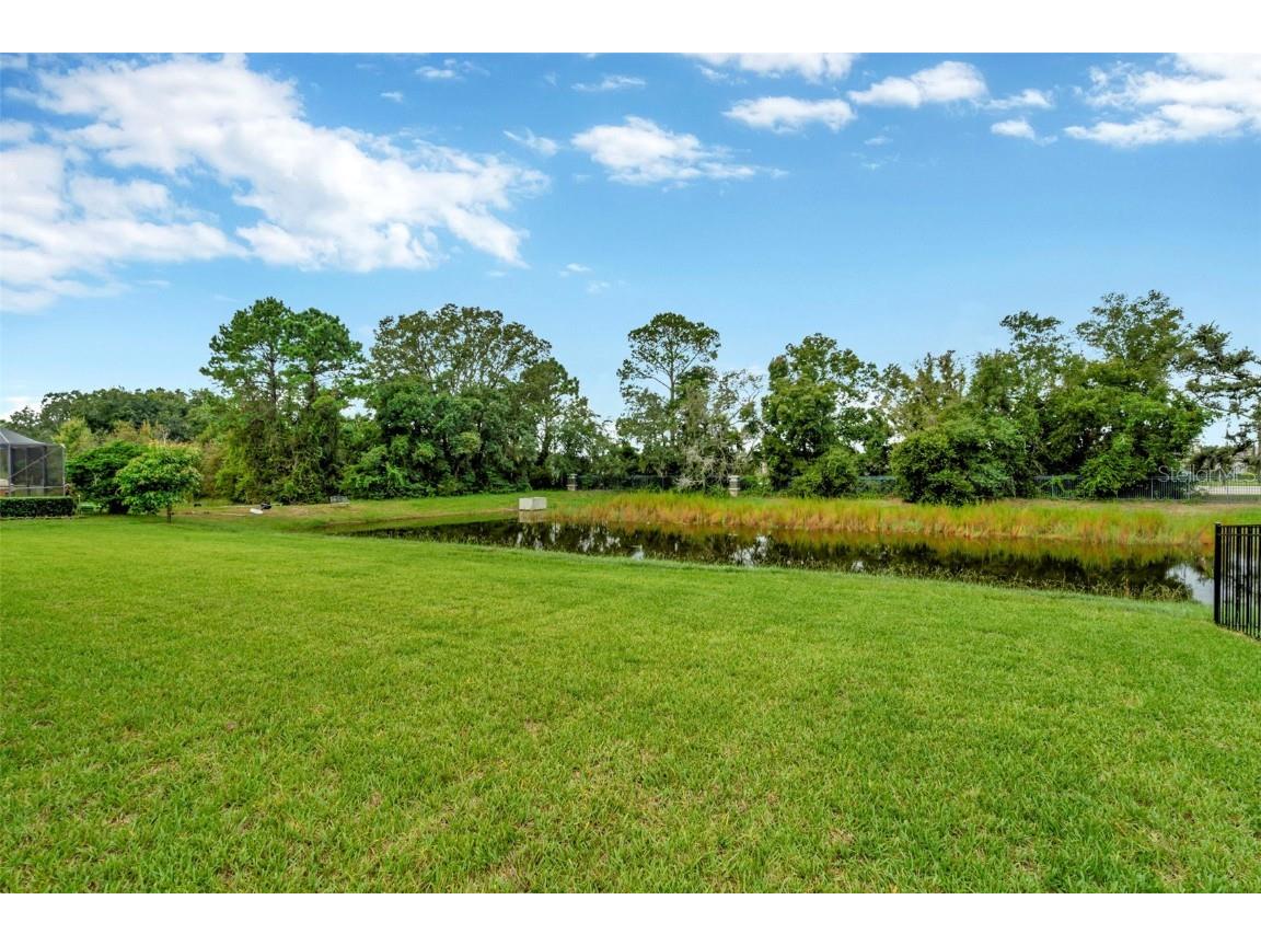 12721 Seronera Valley Court Spring Hill FL 34610 T3511755 image3