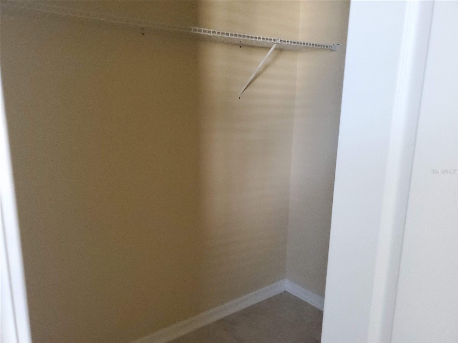 12722 Evington Point Drive Riverview FL 33579 TB8503766 image12