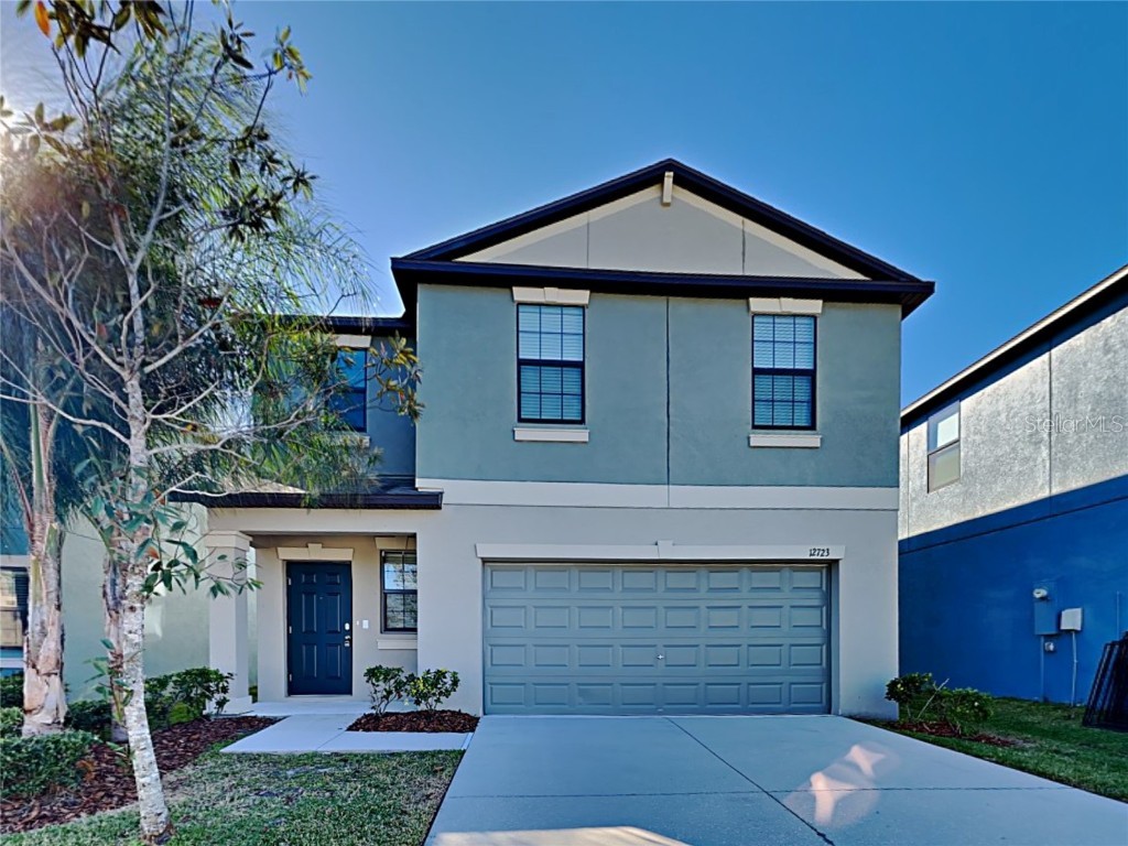12723 Hampton Hill Drive Riverview FL 33578 T3425666 image1