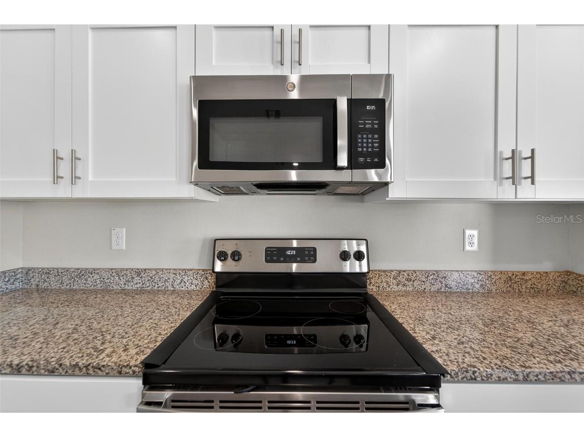 12725 Mangrove Forest Drive Riverview FL 33579 TB8438788 image16