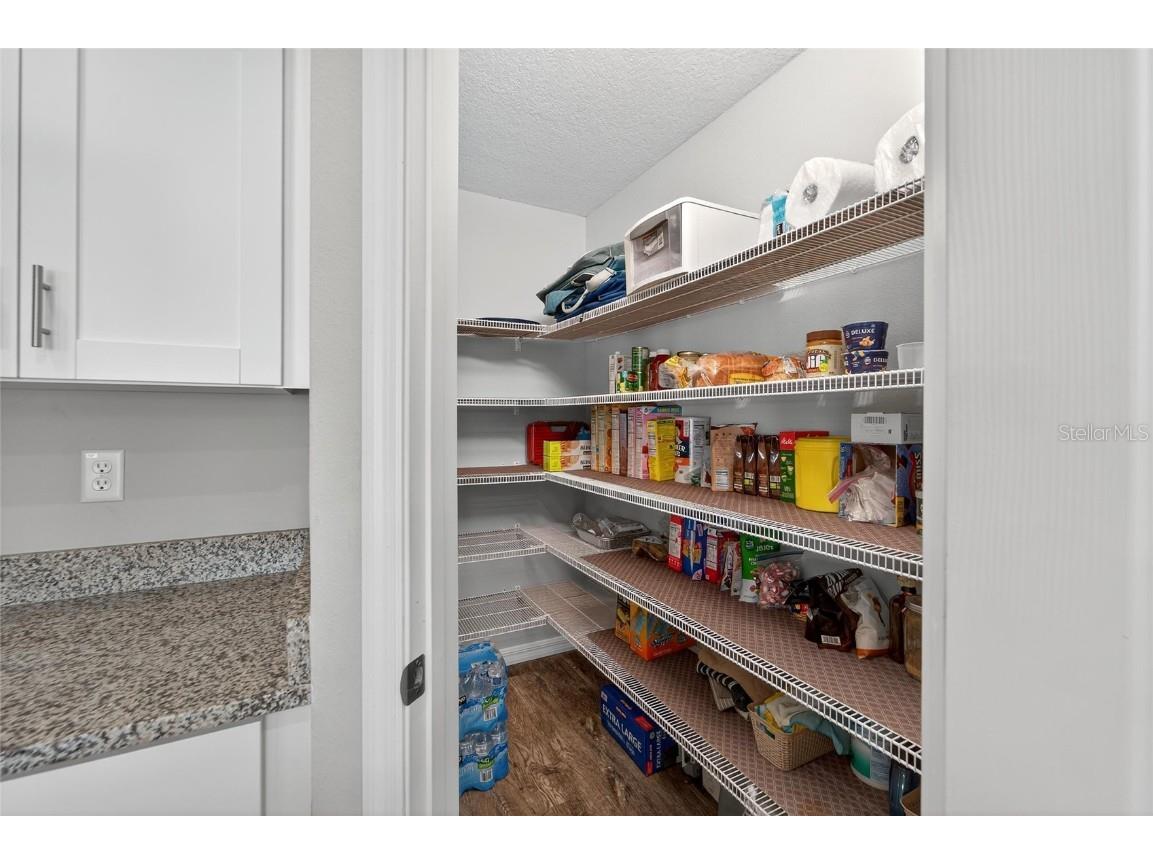 12725 Mangrove Forest Drive Riverview FL 33579 TB8438788 image17