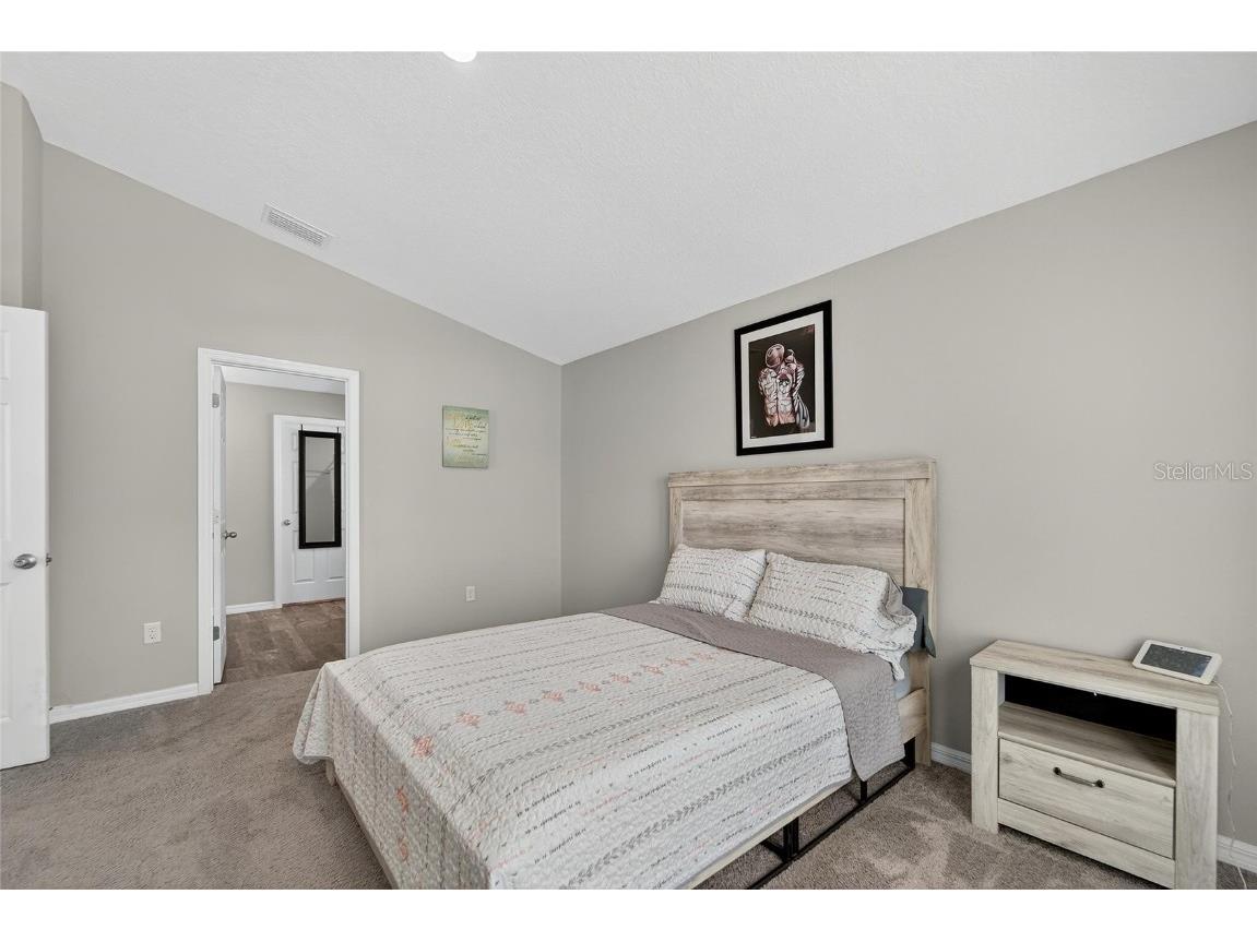 12725 Mangrove Forest Drive Riverview FL 33579 TB8438788 image22