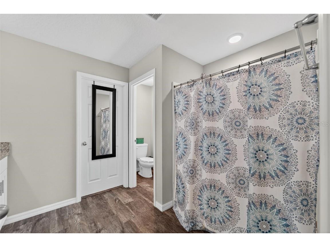 12725 Mangrove Forest Drive Riverview FL 33579 TB8438788 image23