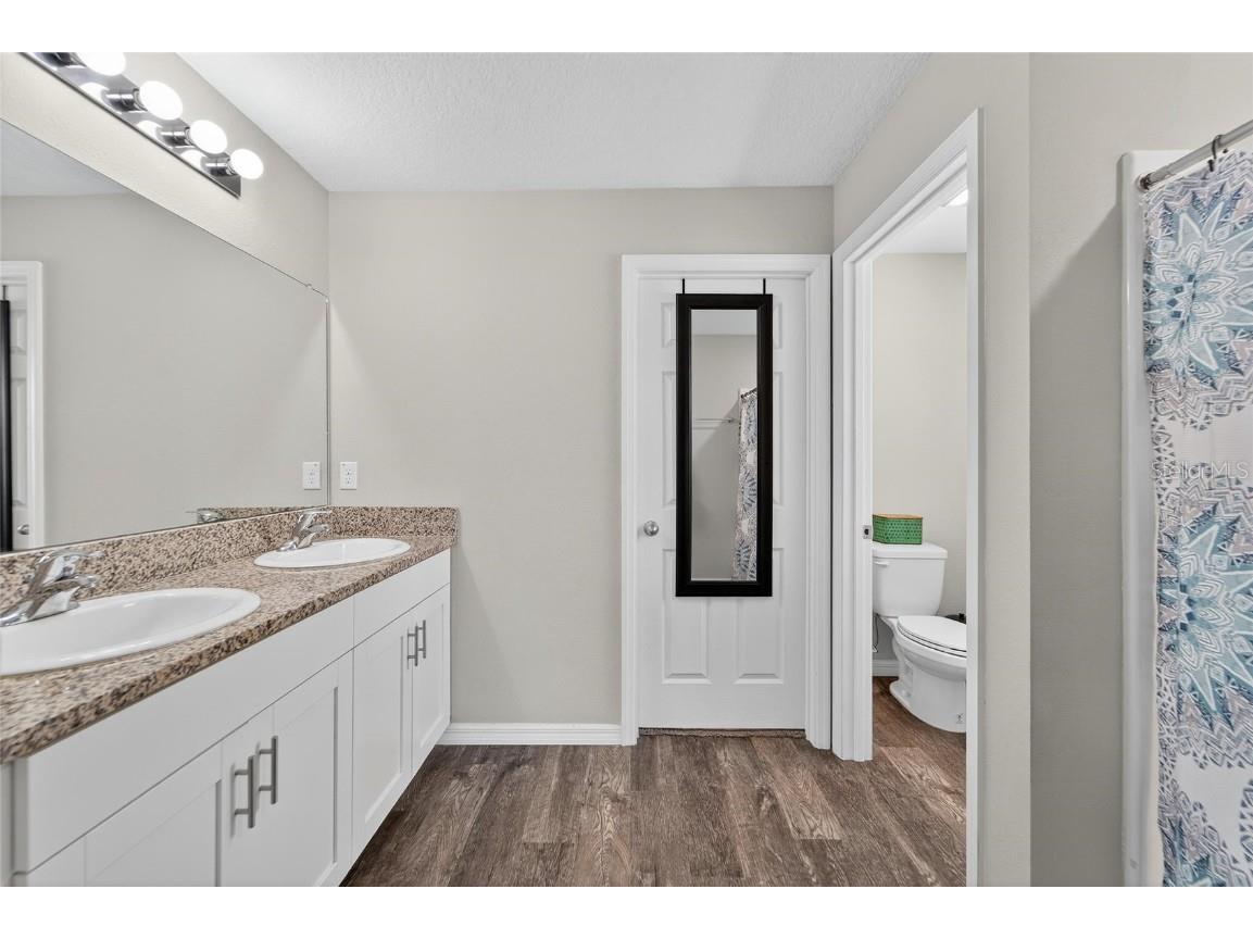 12725 Mangrove Forest Drive Riverview FL 33579 TB8438788 image25