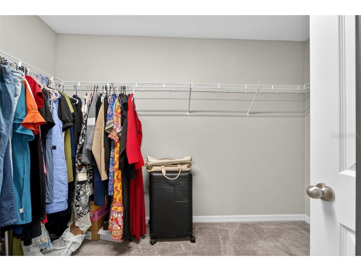 12725 Mangrove Forest Drive Riverview FL 33579 TB8438788 image28