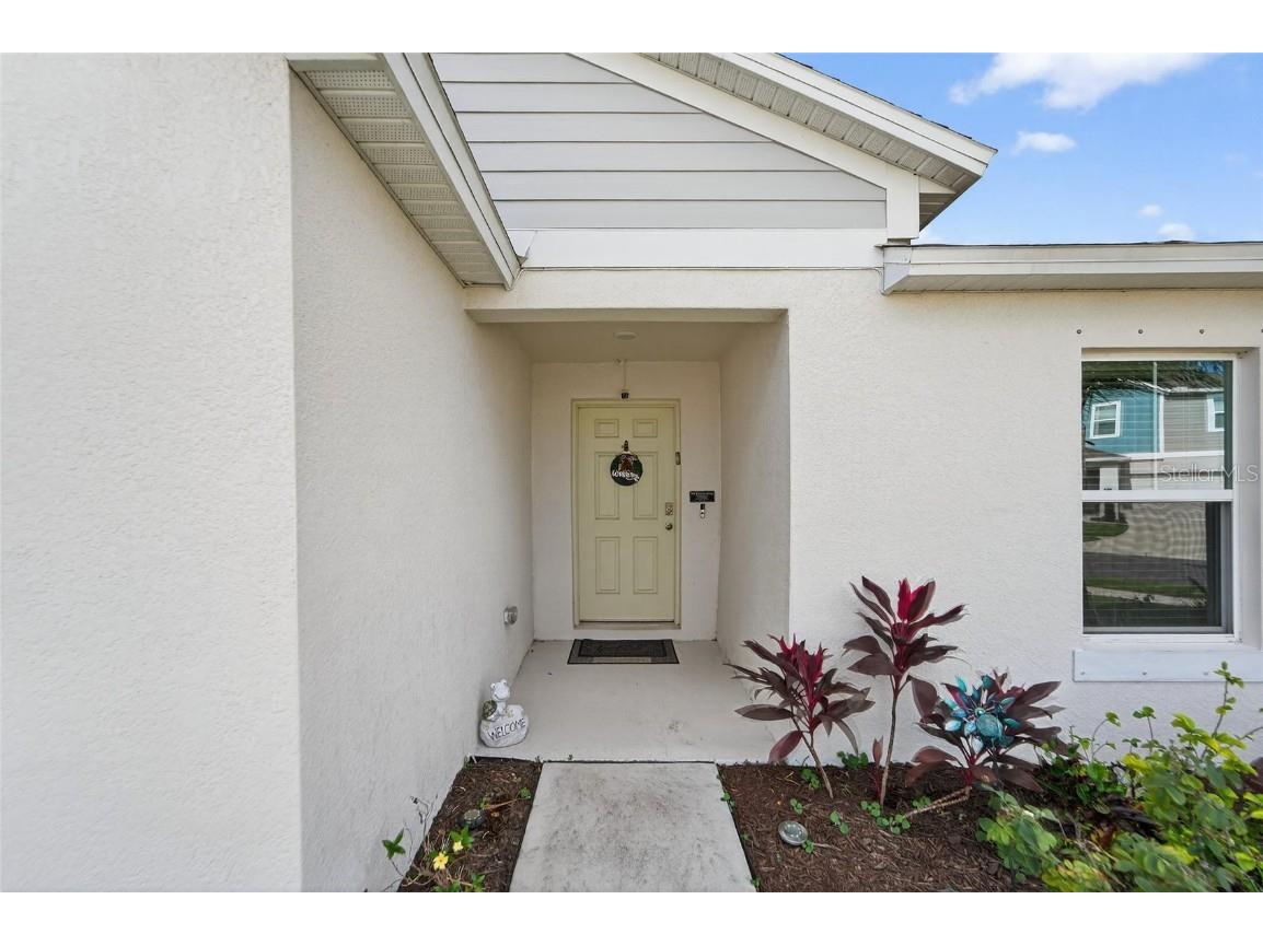 12725 Mangrove Forest Drive Riverview FL 33579 TB8438788 image3