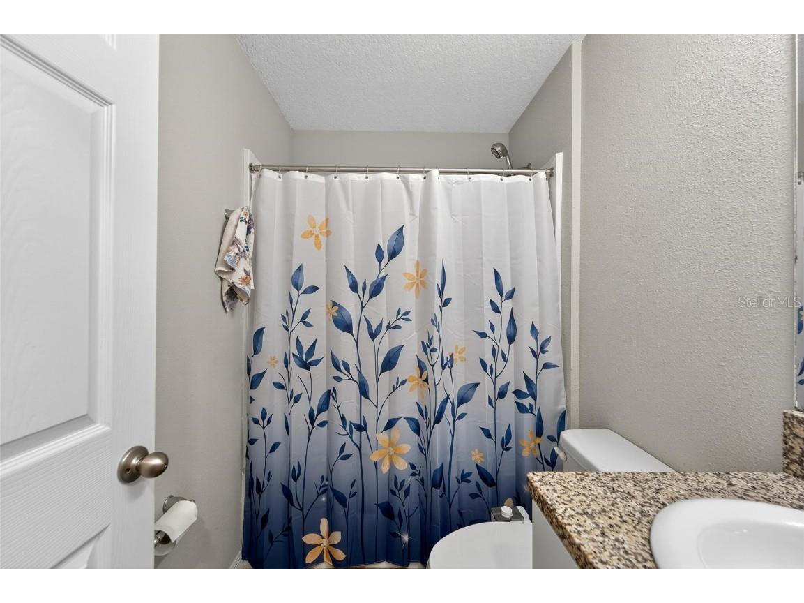 12725 Mangrove Forest Drive Riverview FL 33579 TB8438788 image32