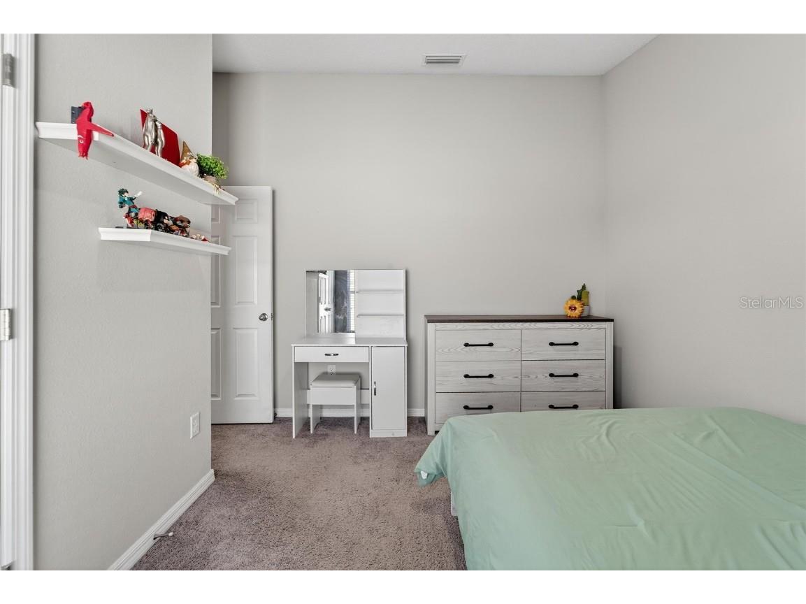 12725 Mangrove Forest Drive Riverview FL 33579 TB8438788 image35