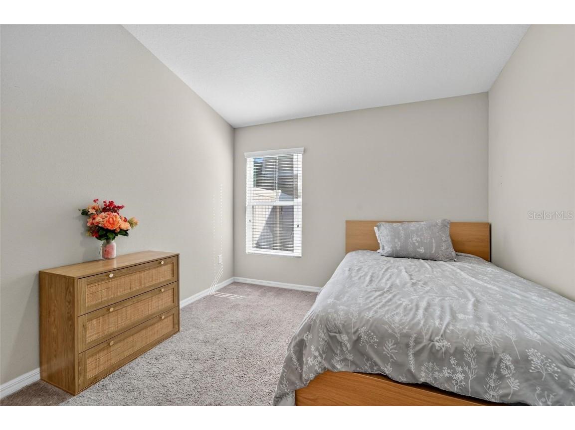 12725 Mangrove Forest Drive Riverview FL 33579 TB8438788 image37