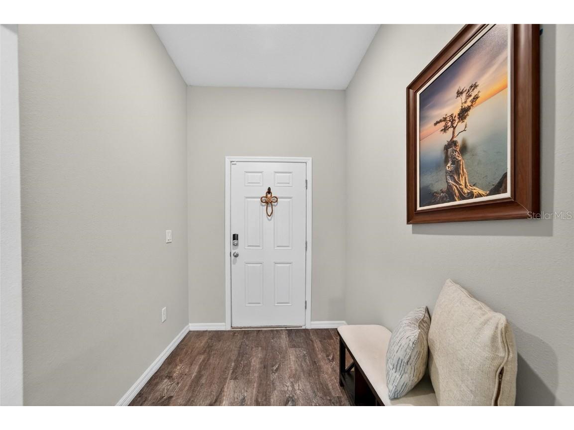 12725 Mangrove Forest Drive Riverview FL 33579 TB8438788 image4