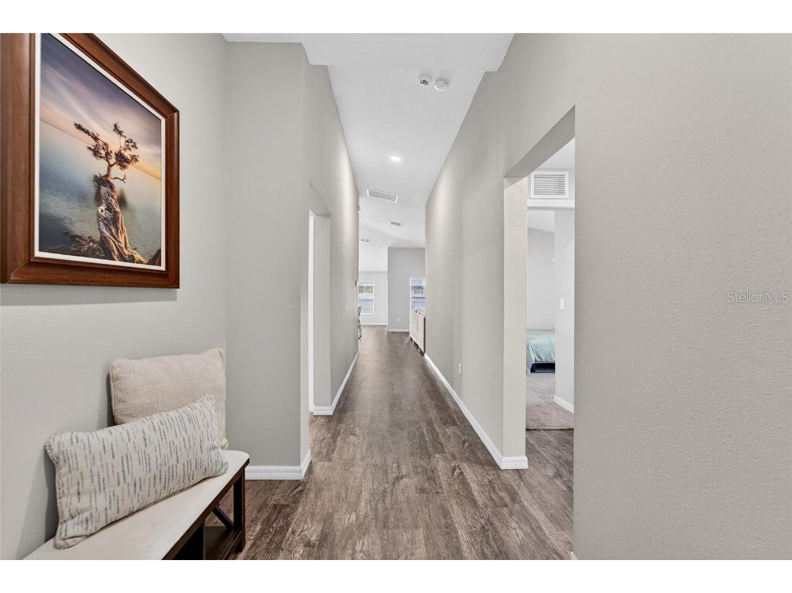 12725 Mangrove Forest Drive Riverview FL 33579 TB8438788 image5