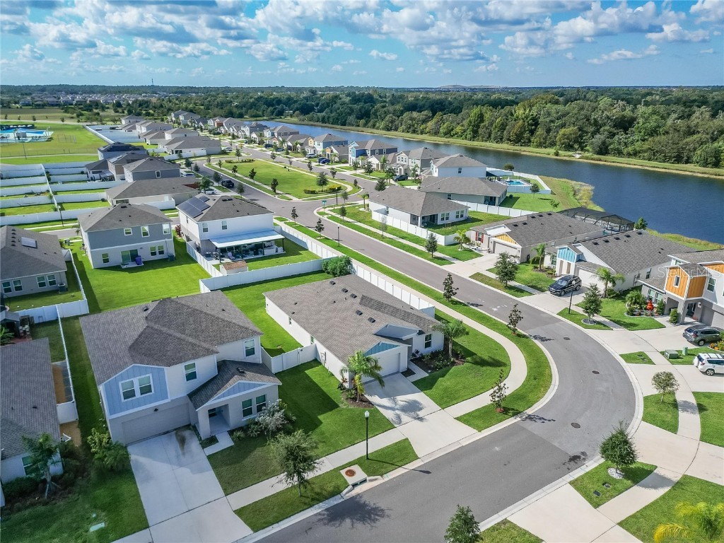 12725 Mangrove Forest Drive Riverview FL 33579 TB8438788 image53