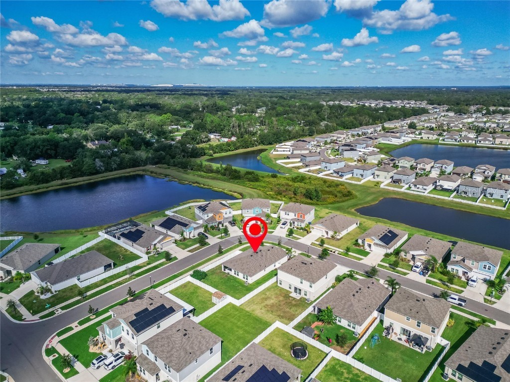 12725 Mangrove Forest Drive Riverview FL 33579 TB8438788 image60