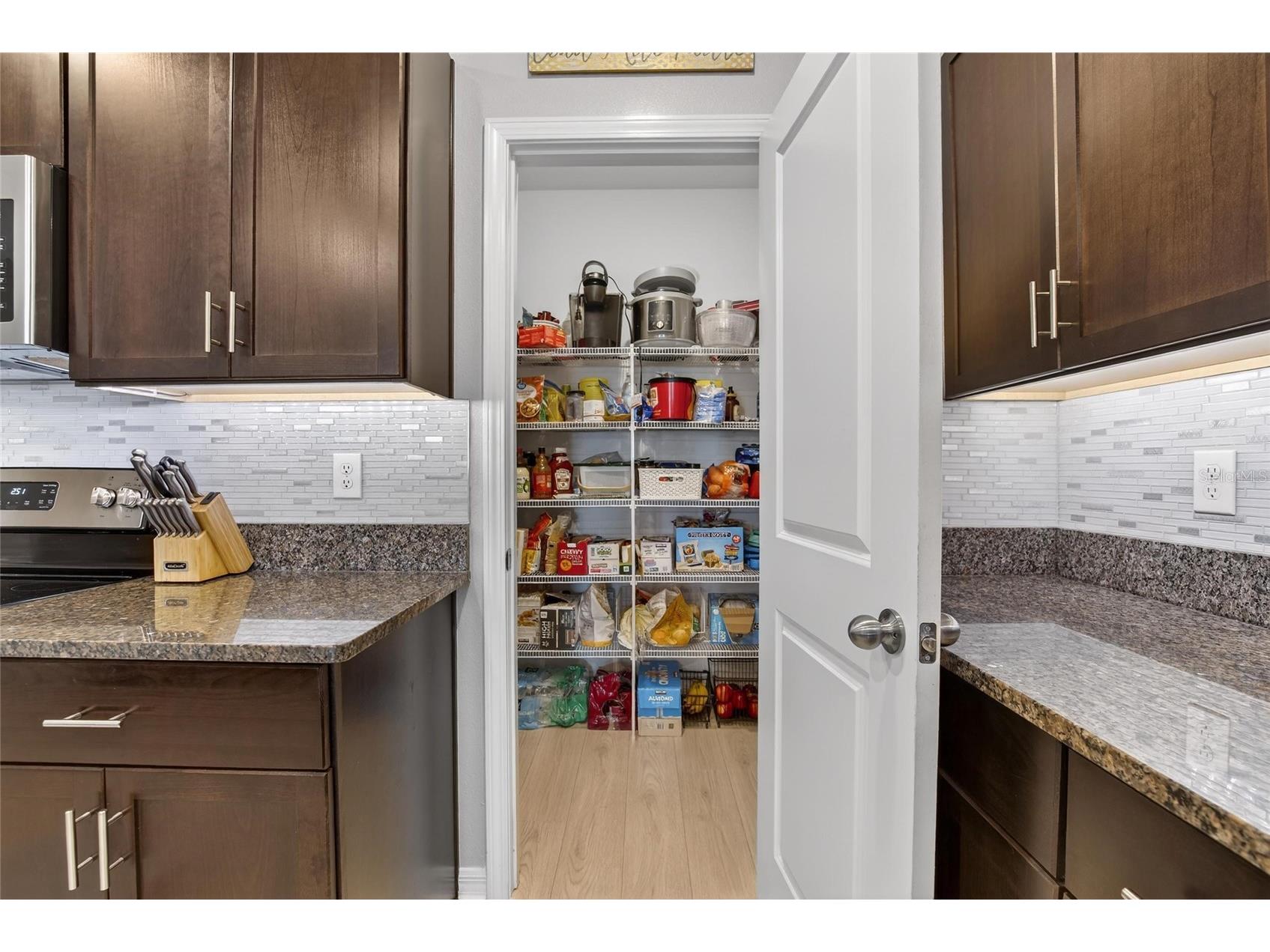 12726 Tripoli Avenue Riverview FL 33579 TB8492190 image12