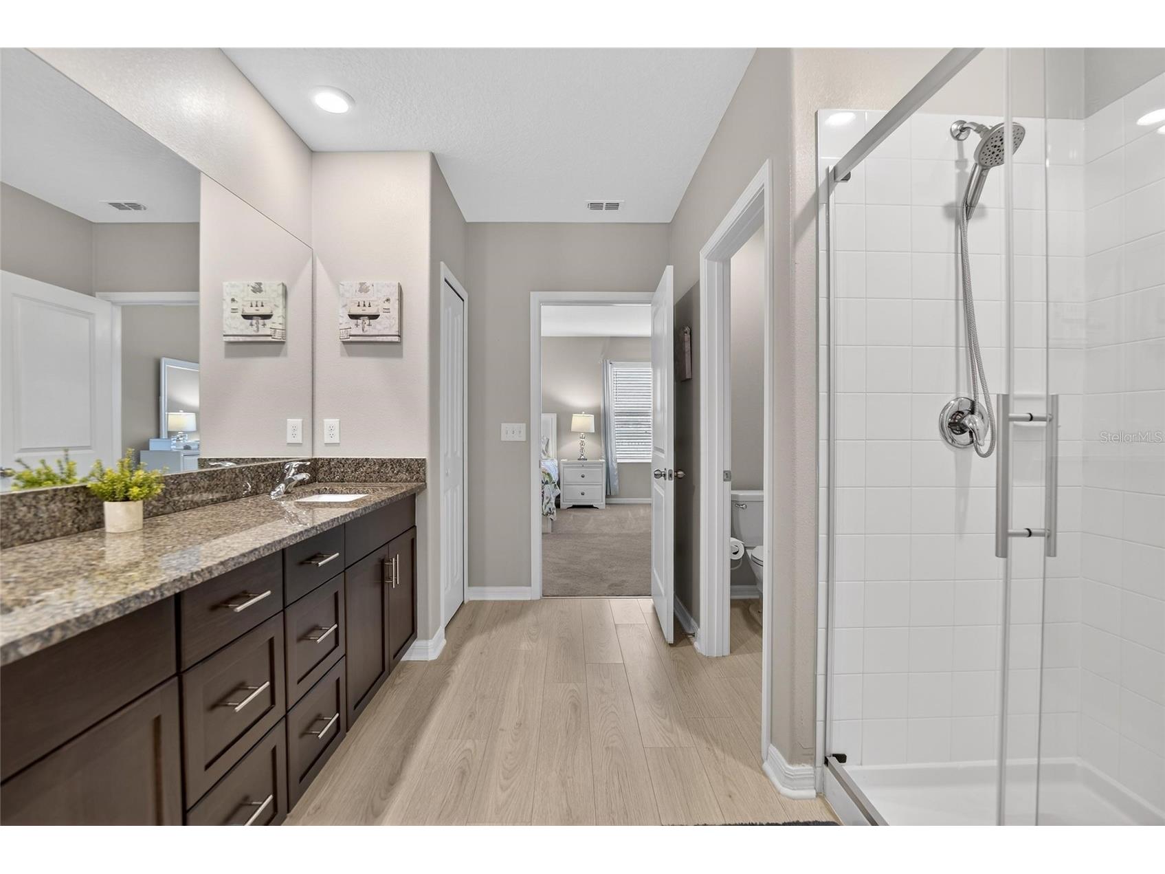 12726 Tripoli Avenue Riverview FL 33579 TB8492190 image25