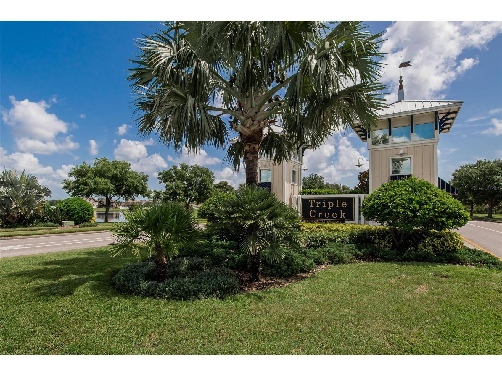 12726 Tripoli Avenue Riverview FL 33579 TB8492190 image77