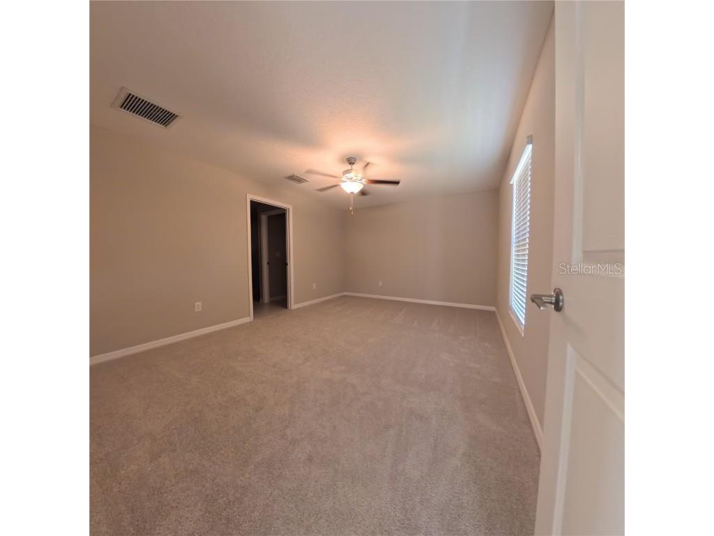 12727 Maple Bonsai Drive Riverview FL 33579 TB8461321 image16