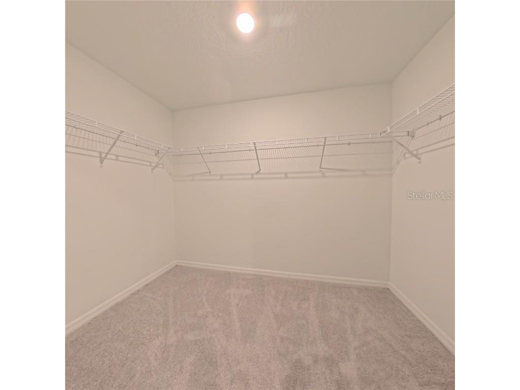 12727 Maple Bonsai Drive Riverview FL 33579 TB8461321 image19