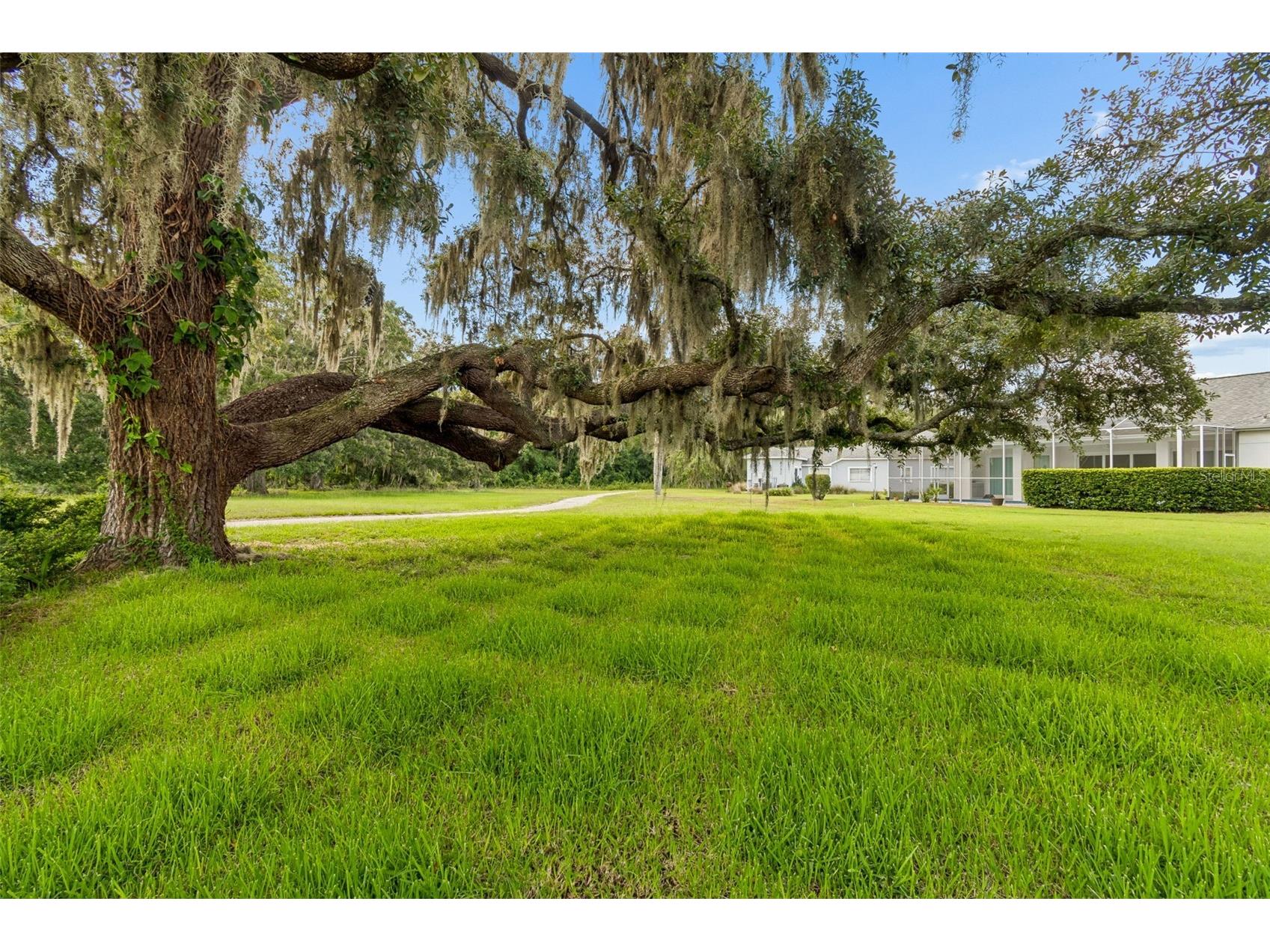 12728 Flamingo Parkway Spring Hill FL 34610 W7886746 image61