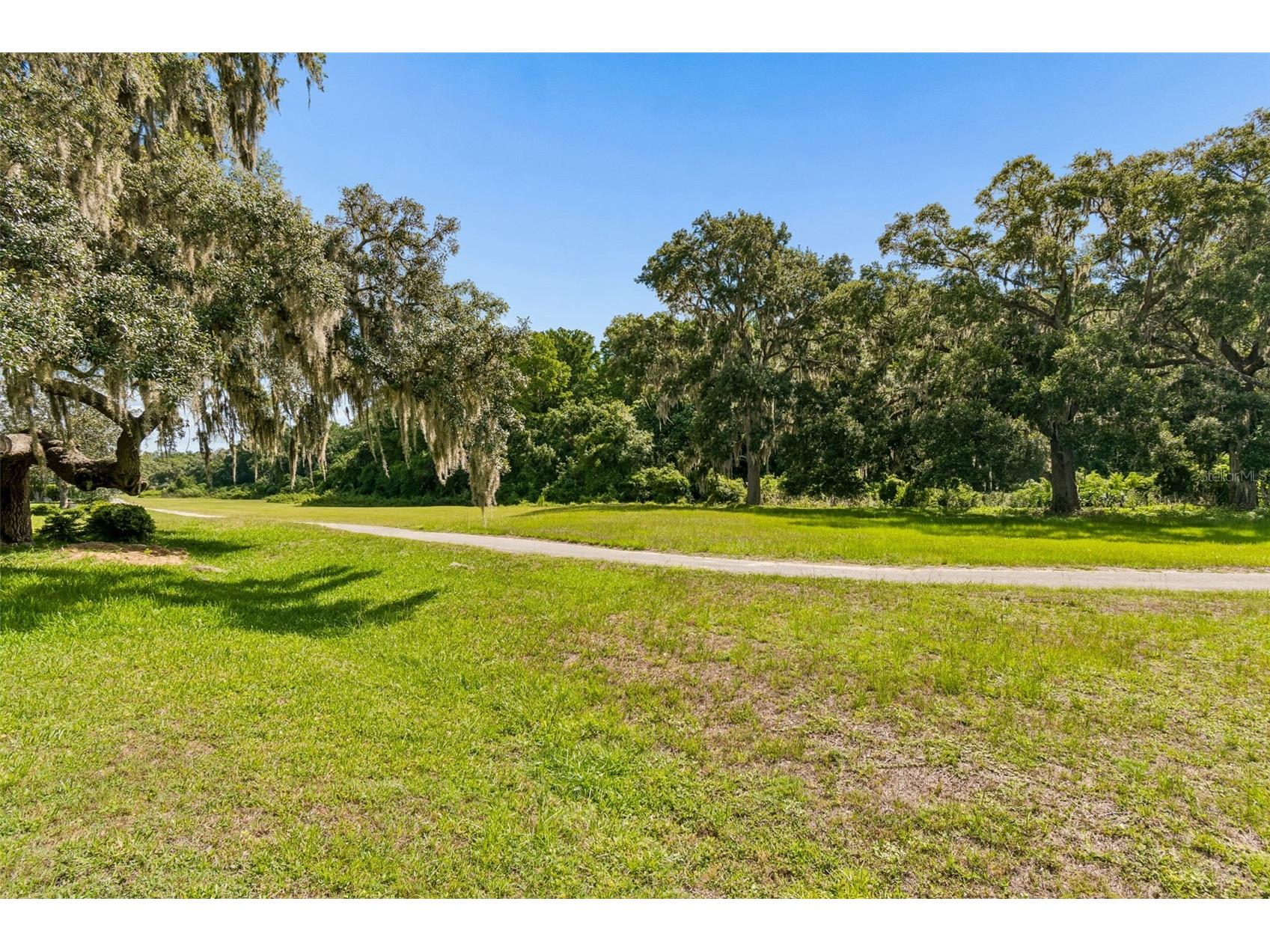 12728 Flamingo Parkway Spring Hill FL 34610 W7886746 image66