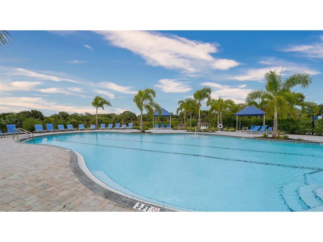 12728 Lateral Root Drive Sarasota FL 34238 A4661644 image53