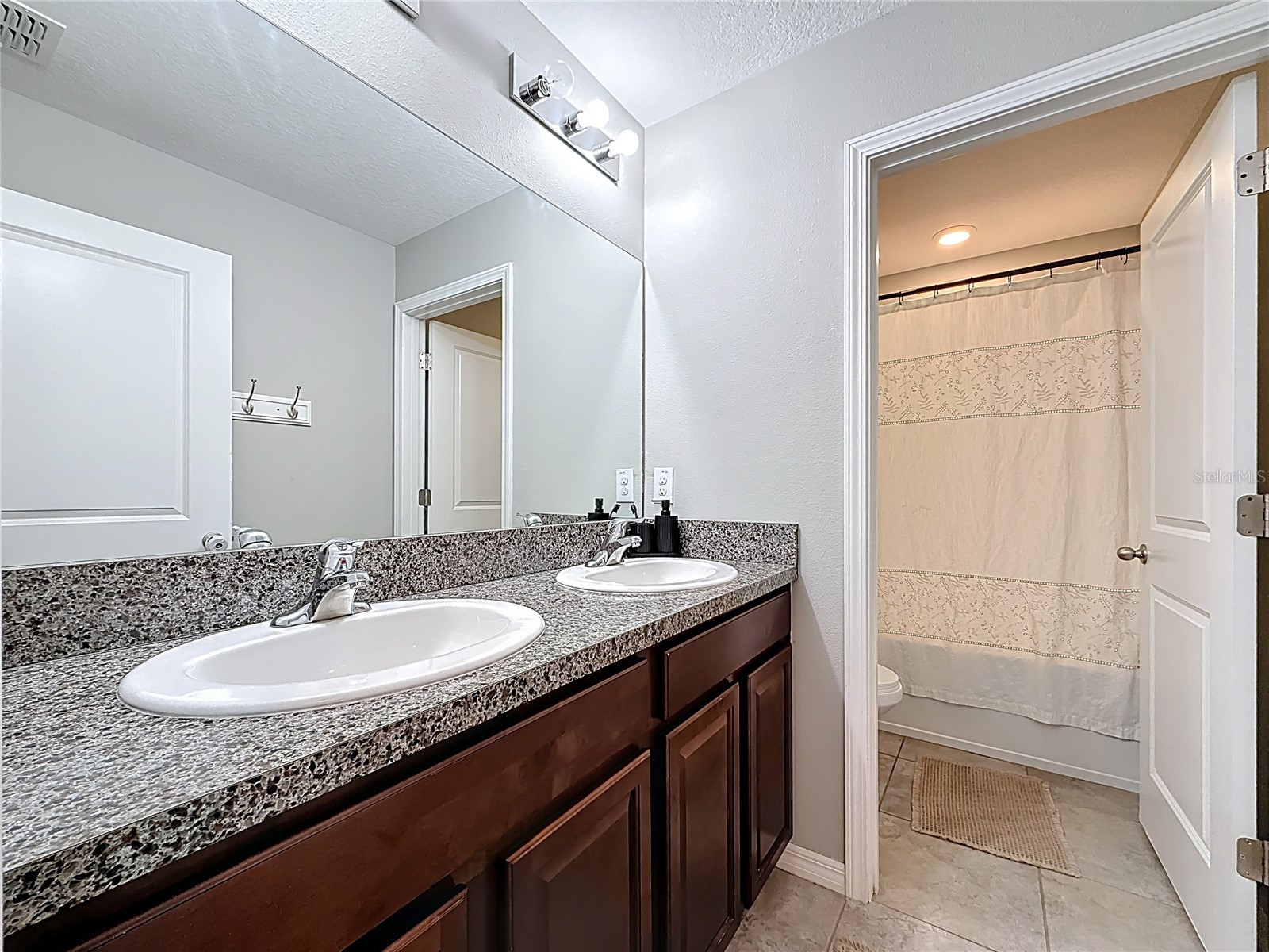 12728 Lemon Pepper Drive Riverview FL 33578 TB8480733 image36