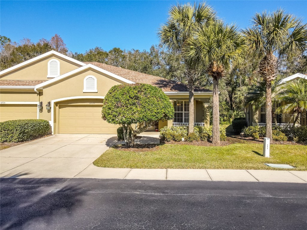 12729 Aston Creek Drive Tampa FL 33626 T3423793 image1
