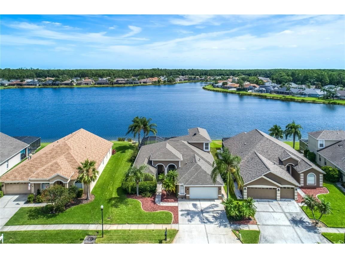 12729 Tar Flower Drive Tampa FL 33626 U8235930 image1