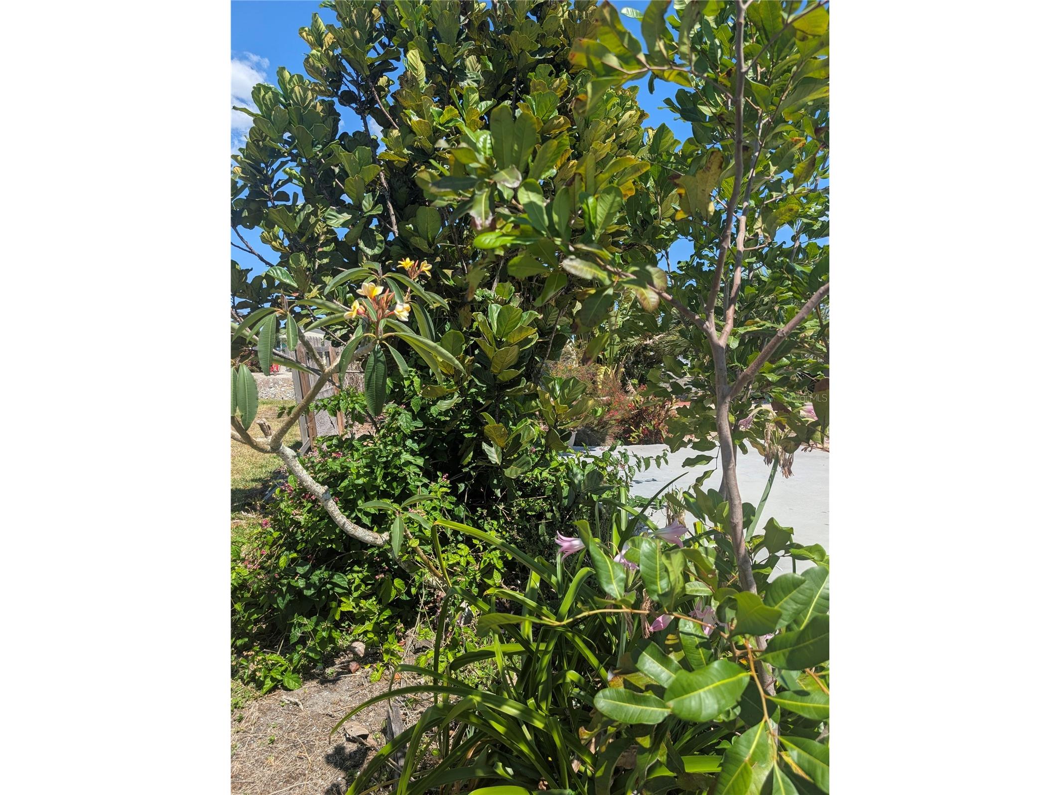 1273 Kingfisher Drive Englewood FL 34224 - TRIBUTARY OF LEMON BAY A4691444 image6