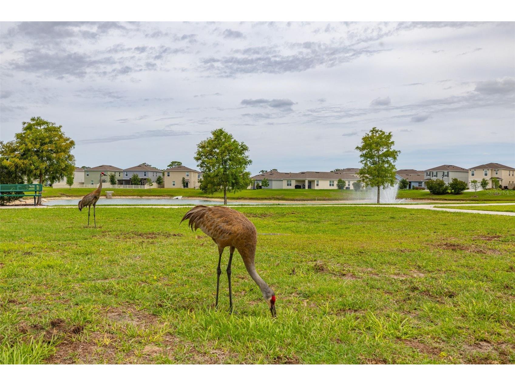 1273 Red Hill Road Davenport FL 33837 A4696834 image81