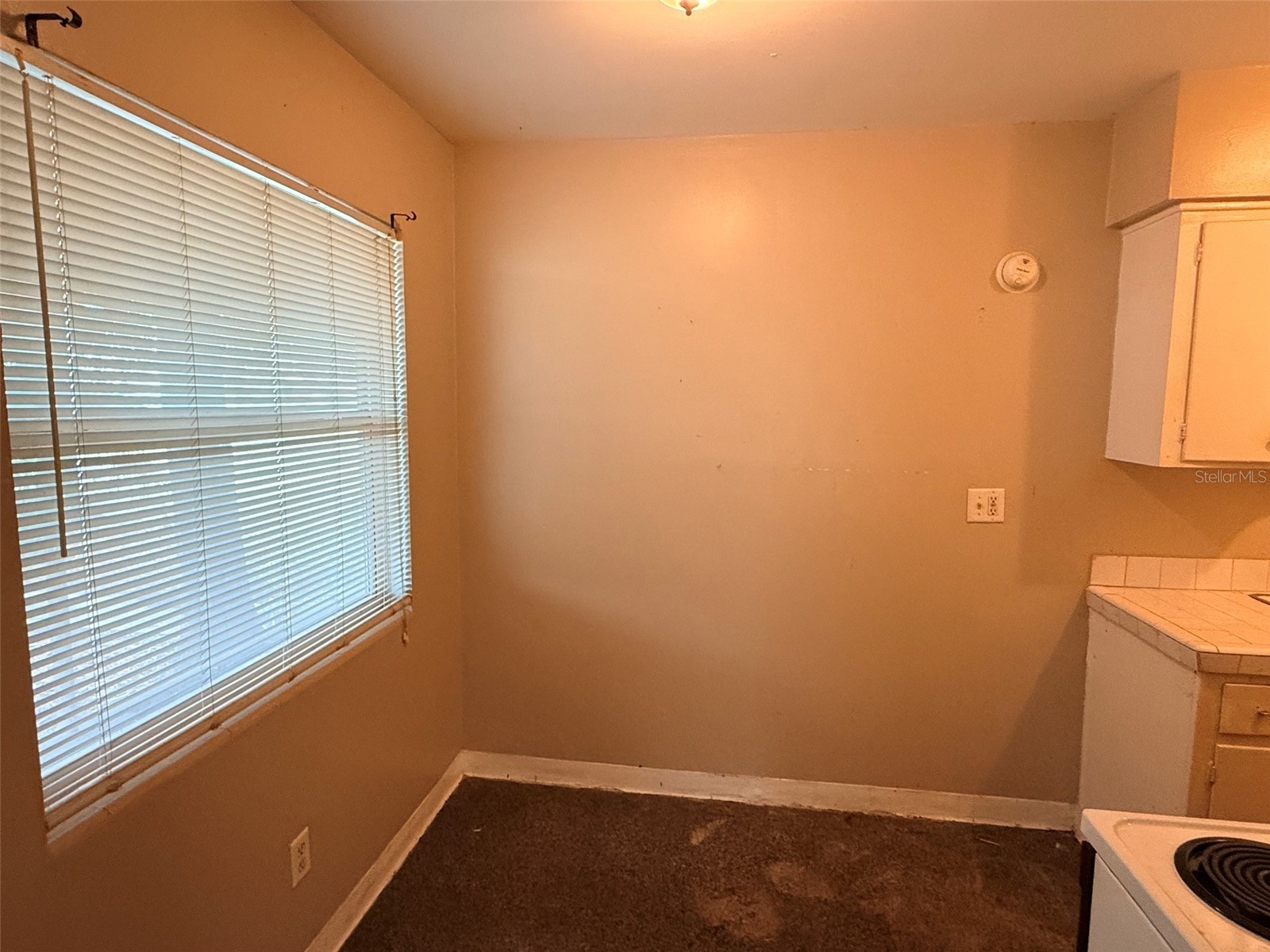 1273 S Betty Lane Clearwater FL 33756 TB8526558 image6
