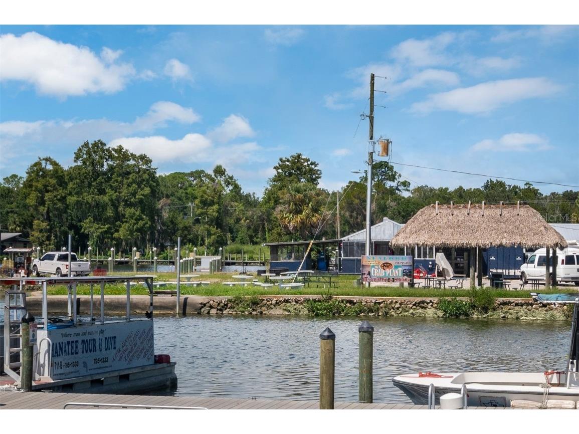 1273 W Newbury Street Citrus Springs FL 34434 G5096159 image3