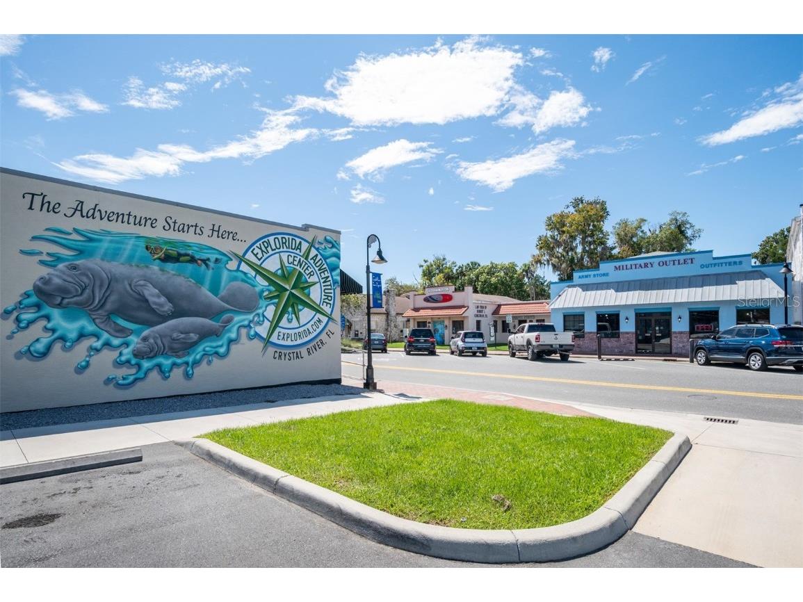 1273 W Newbury Street Citrus Springs FL 34434 G5096159 image7