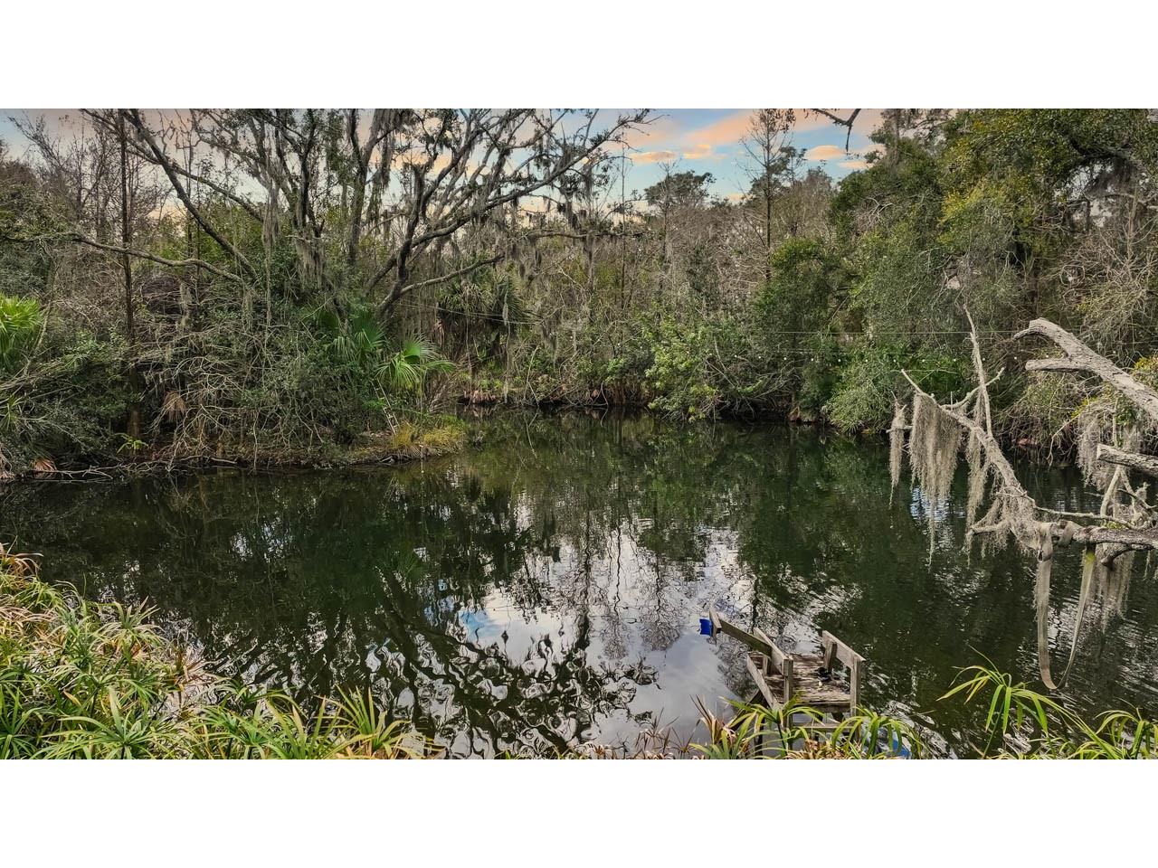 12730 Bullfrog Creek Road Gibsonton FL 33534 - PERMITTED POND ON PROPERTY TB8477347 image11