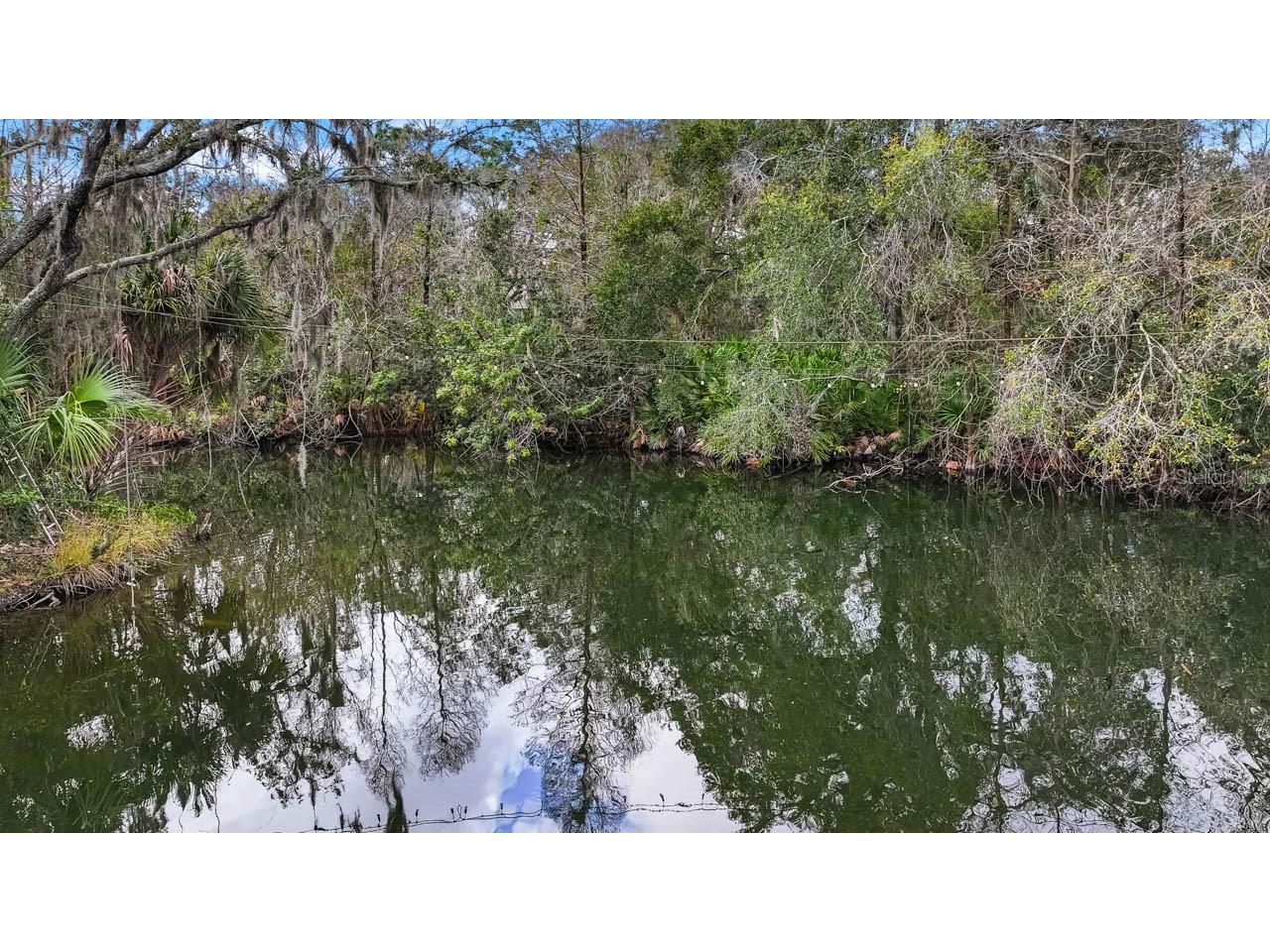 12730 Bullfrog Creek Road Gibsonton FL 33534 - PERMITTED POND ON PROPERTY TB8477347 image12