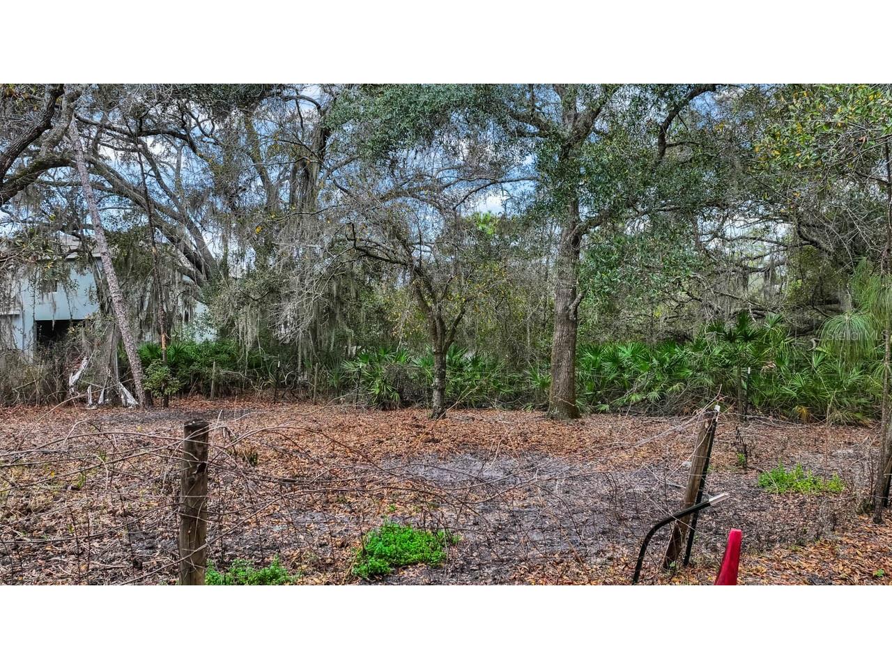 12730 Bullfrog Creek Road Gibsonton FL 33534 - PERMITTED POND ON PROPERTY TB8477347 image15