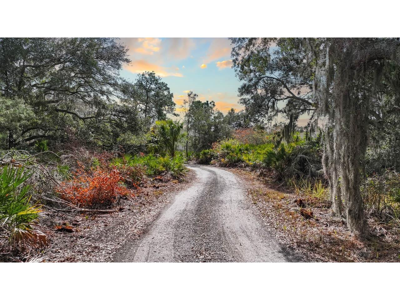 12730 Bullfrog Creek Road Gibsonton FL 33534 - PERMITTED POND ON PROPERTY TB8477347 image8