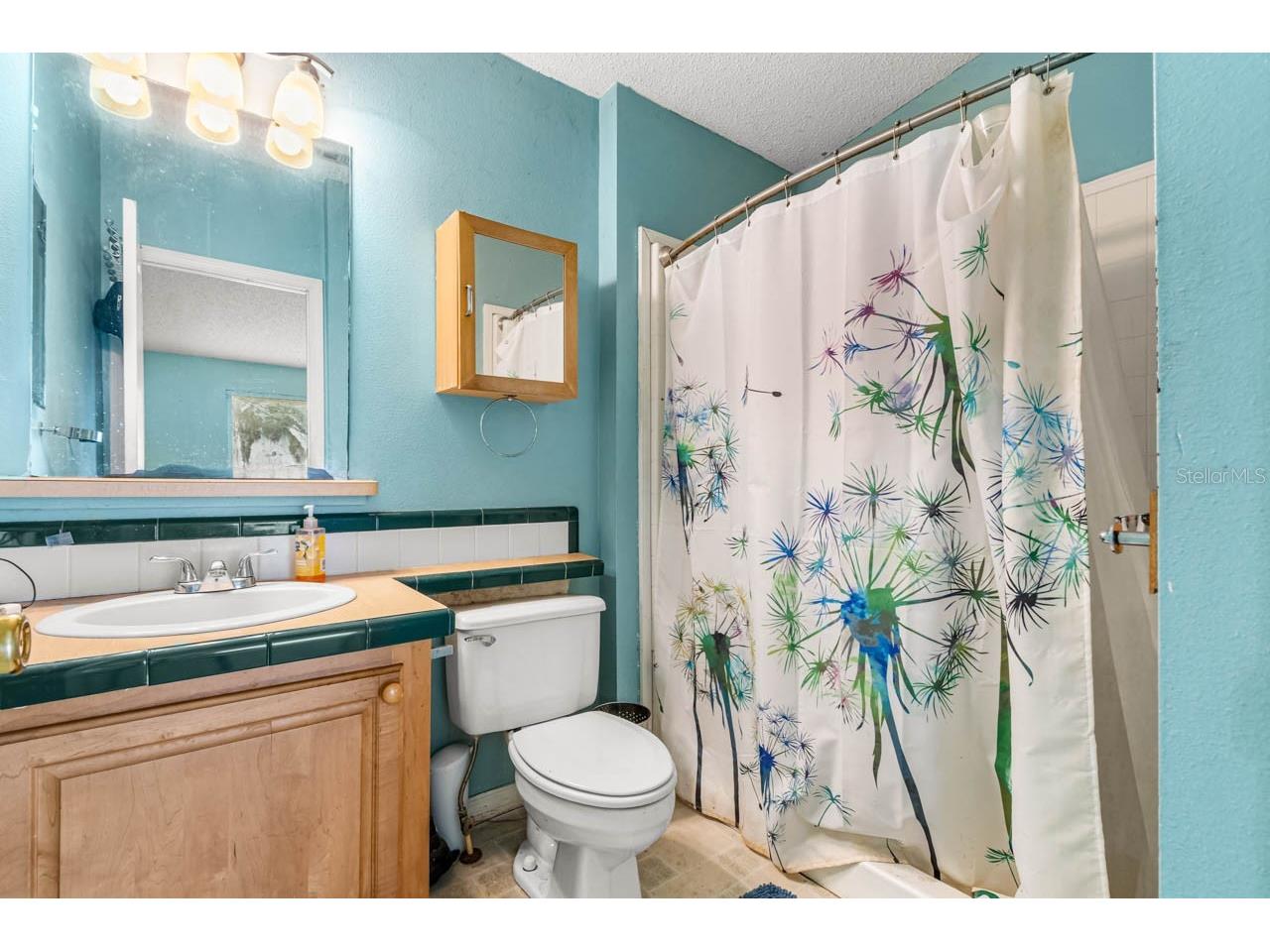12730 Bullfrog Creek Road Gibsonton FL 33534 TB8500119 image24