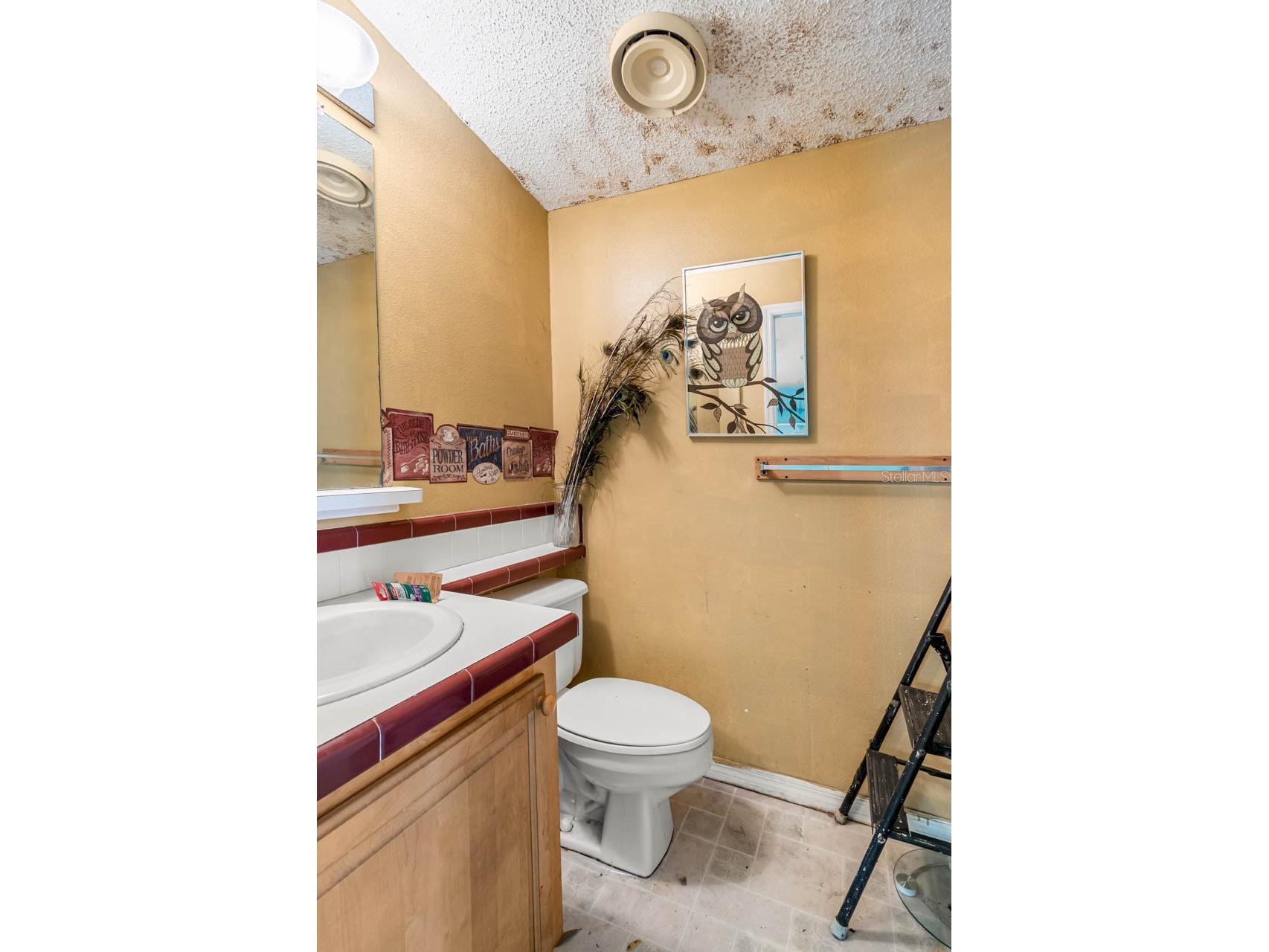 12730 Bullfrog Creek Road Gibsonton FL 33534 TB8500119 image25