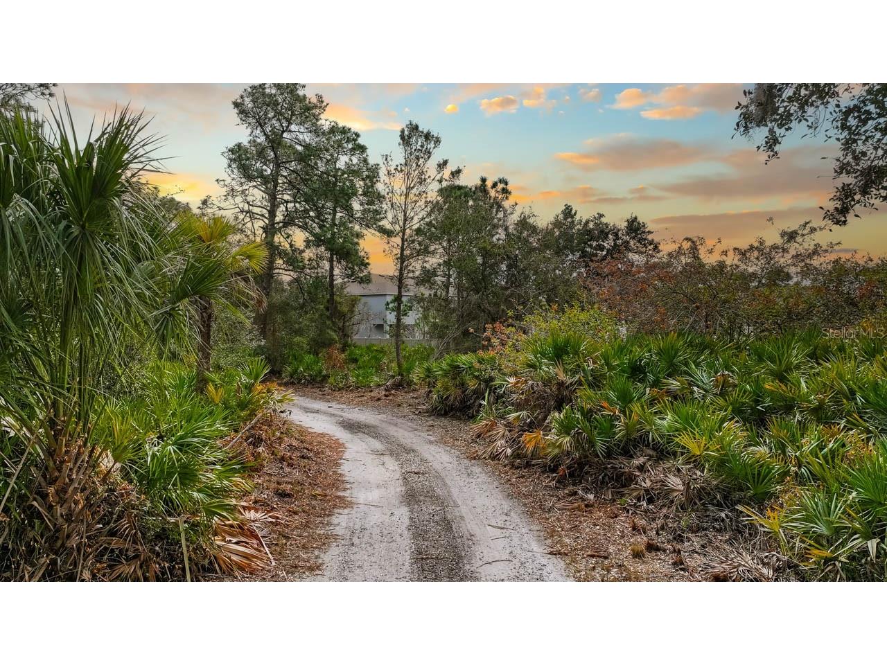12730 Bullfrog Creek Road Gibsonton FL 33534 TB8500119 image38