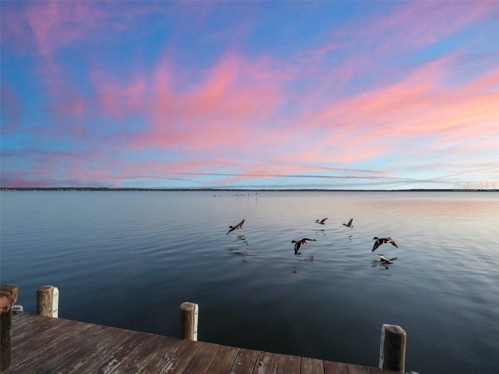 12730 E Highway 25 Ocklawaha FL 32179 - LAKE WEIR G5078009 image64