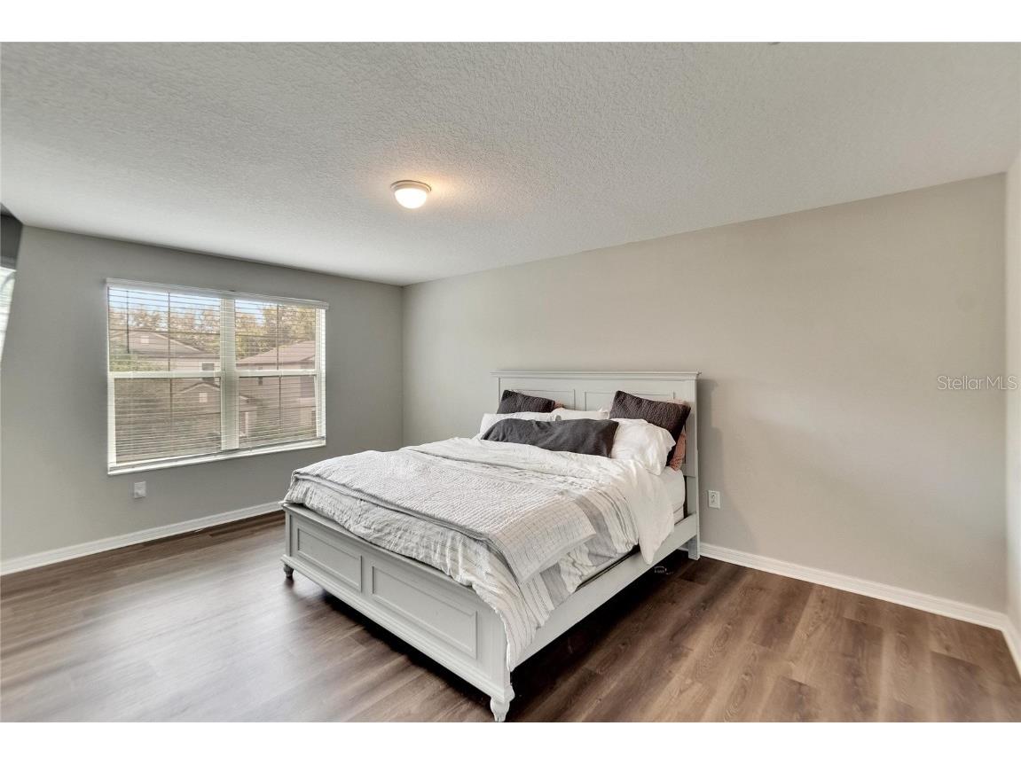 12730 Lemon Pepper Drive Riverview FL 33578 P4936556 image17