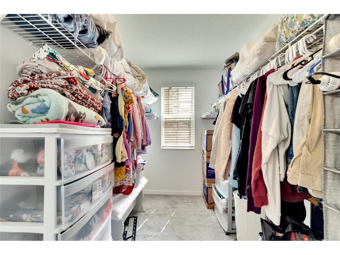 12730 Lemon Pepper Drive Riverview FL 33578 P4936556 image23