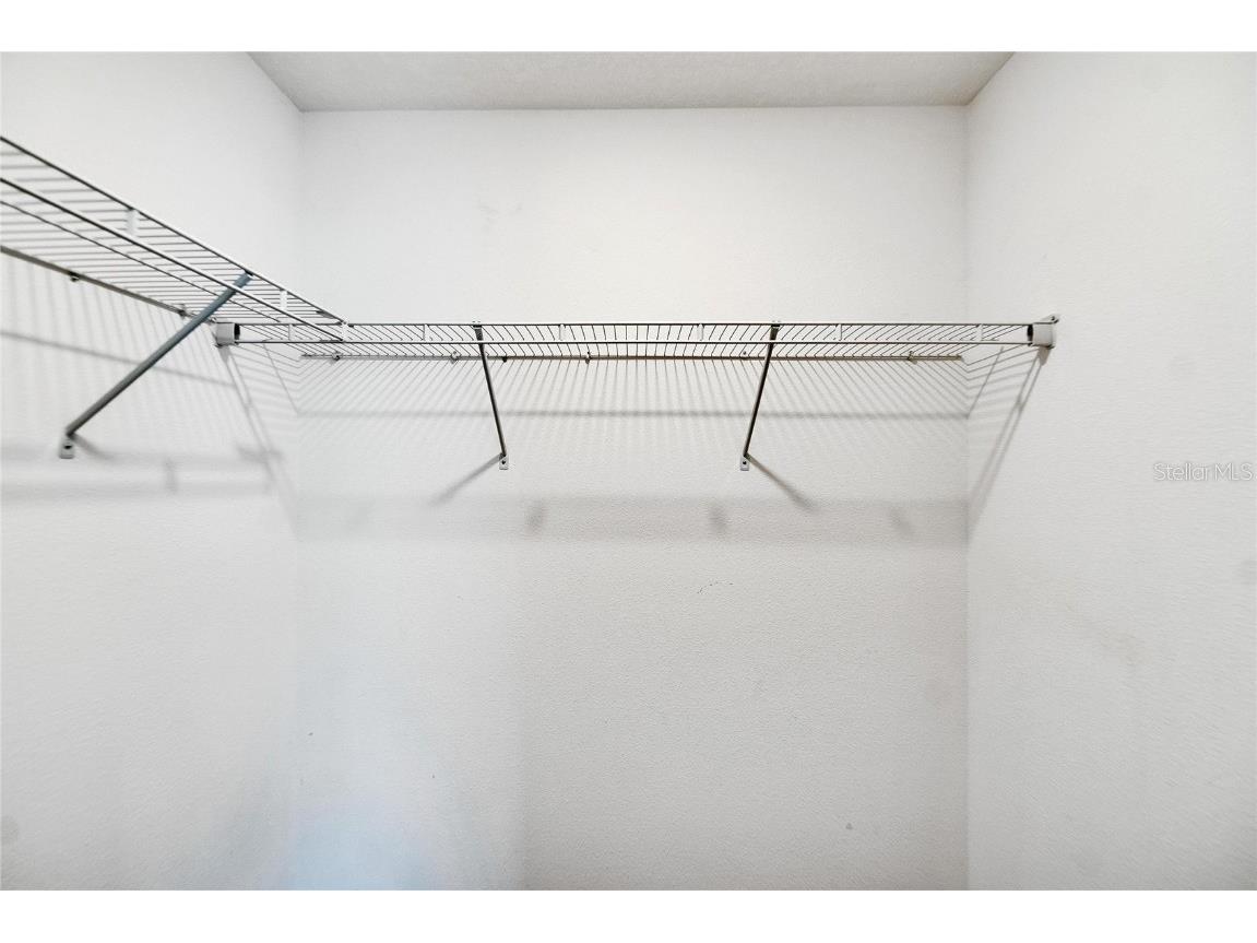 12730 Lemon Pepper Drive Riverview FL 33578 P4936556 image33