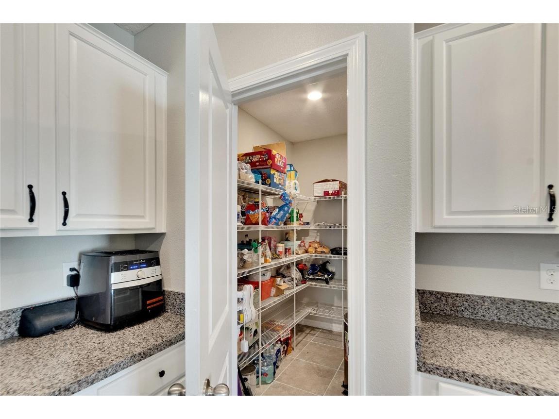 12730 Lemon Pepper Drive Riverview FL 33578 P4936556 image9