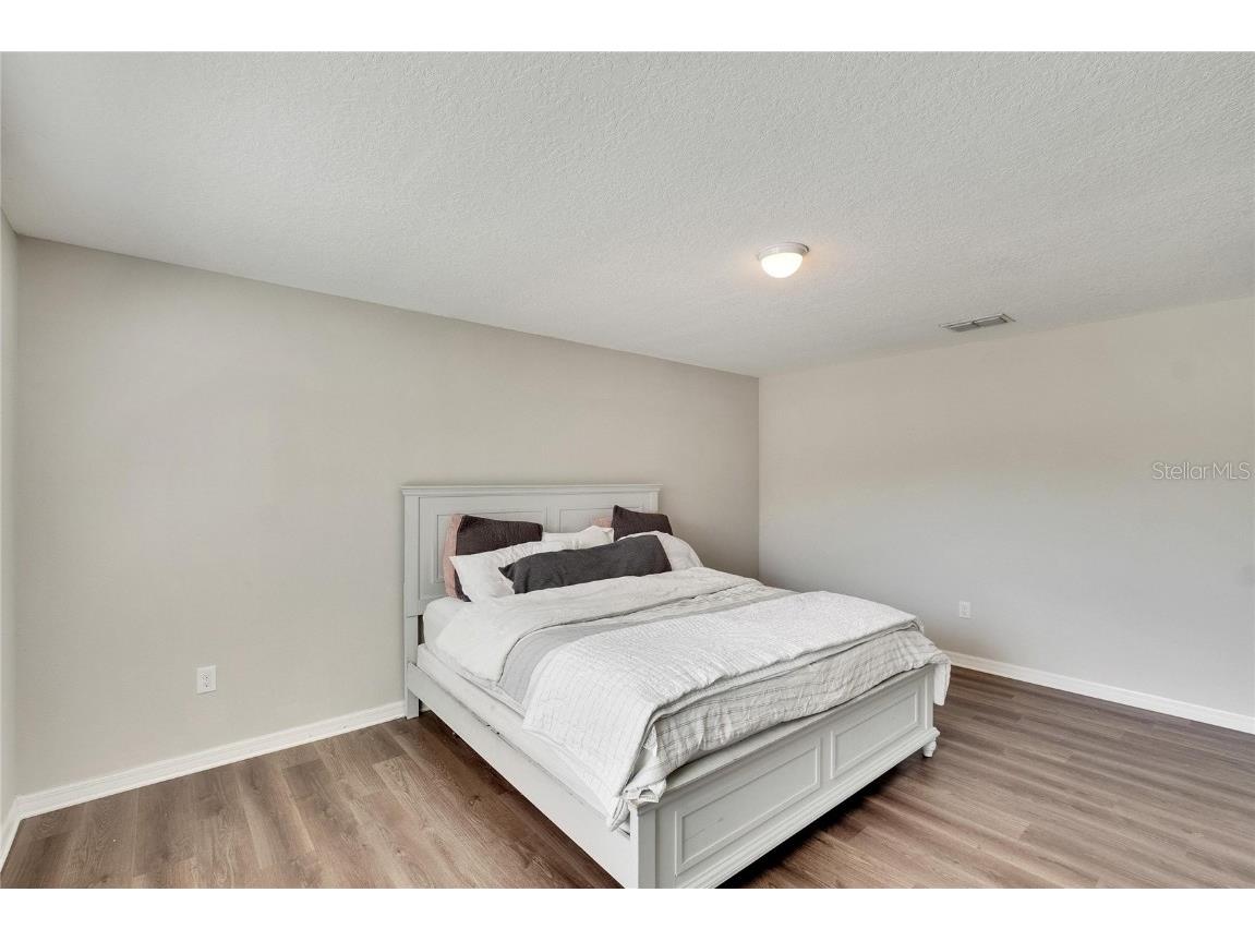 12730 Lemon Pepper Drive Riverview FL 33578 P4936616 image20