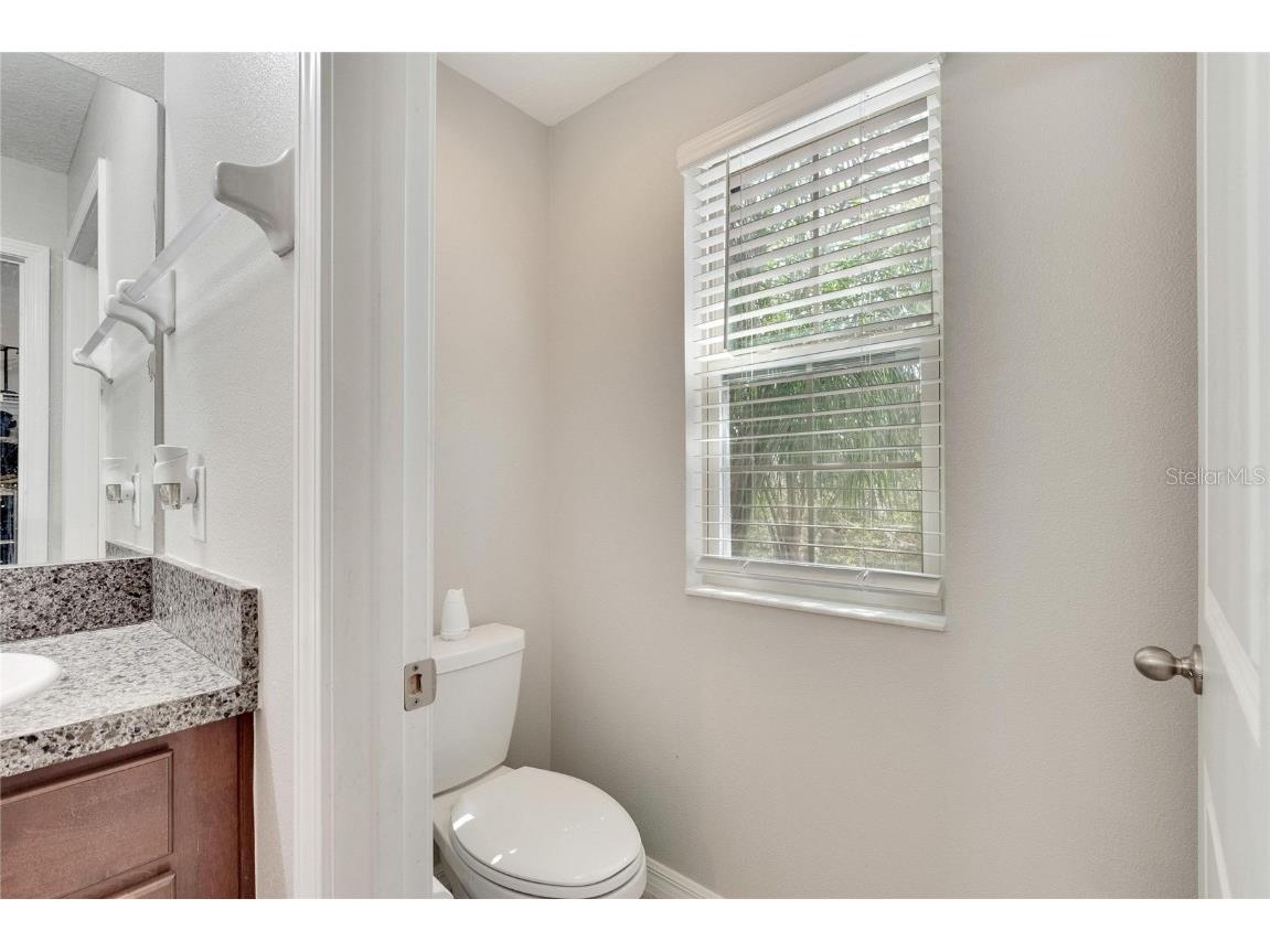 12730 Lemon Pepper Drive Riverview FL 33578 P4936616 image23