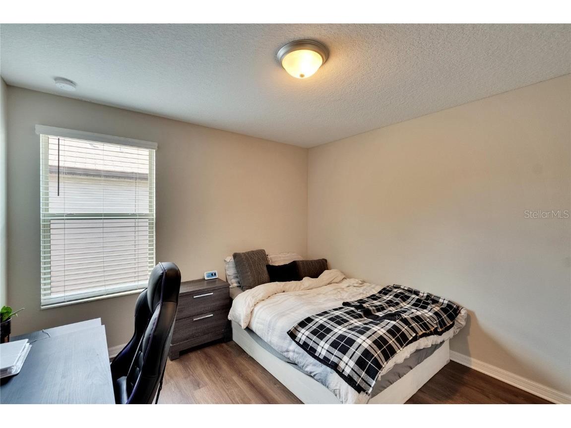 12730 Lemon Pepper Drive Riverview FL 33578 P4936616 image29