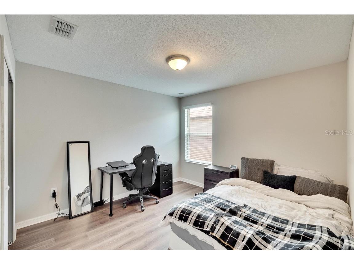 12730 Lemon Pepper Drive Riverview FL 33578 P4936616 image30