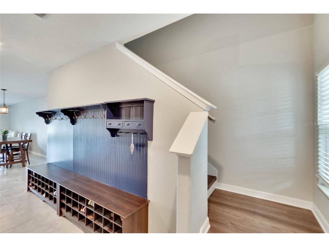 12730 Lemon Pepper Drive Riverview FL 33578 P4936616 image4